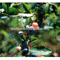Low price HDPE bird garden protection net,anti bird net for catching birds
